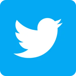 twitter-300x300